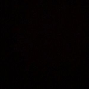 Meet your Posher, Max